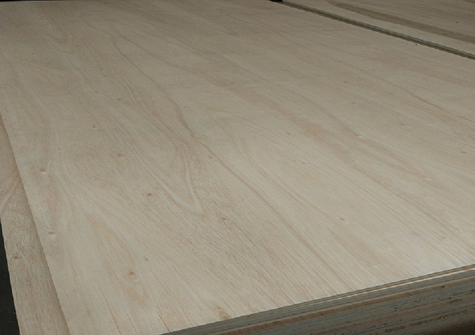 Eucalyptus plywood